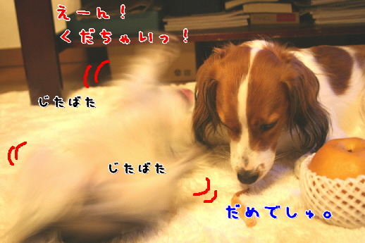 d0013149_058873.jpg