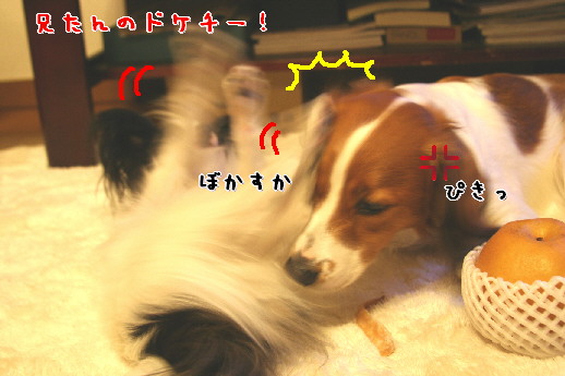d0013149_102038.jpg