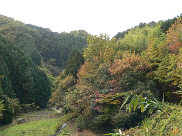 e0017051_23284587.jpg