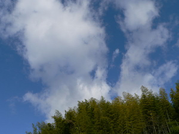 e0017051_23291319.jpg