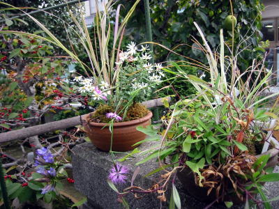 c0147952_18122355.jpg