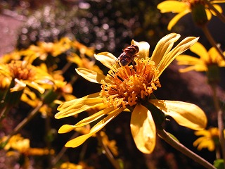 c0020653_21473353.jpg