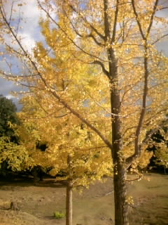 a0041964_158271.jpg