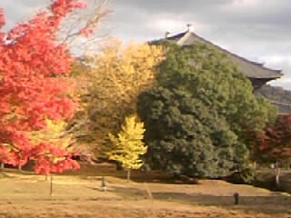a0041964_23253811.jpg