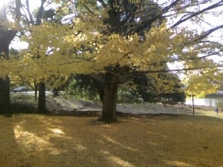 a0041964_2326349.jpg