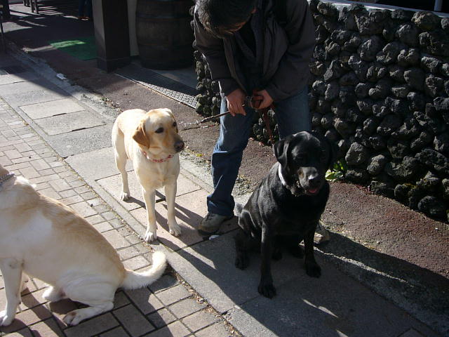 f0057565_11275498.jpg