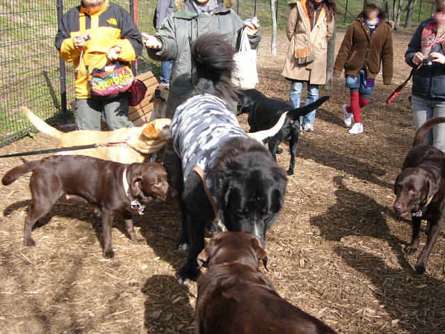f0057565_1141766.jpg