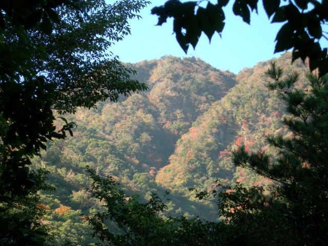 c0042869_208912.jpg