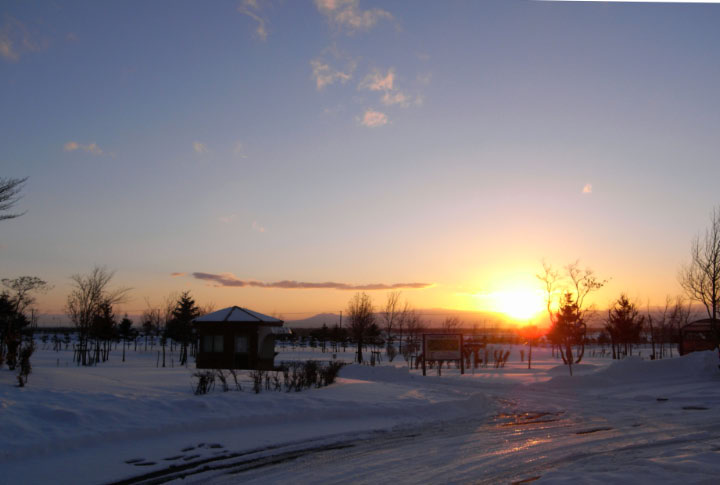 e0100772_22471916.jpg