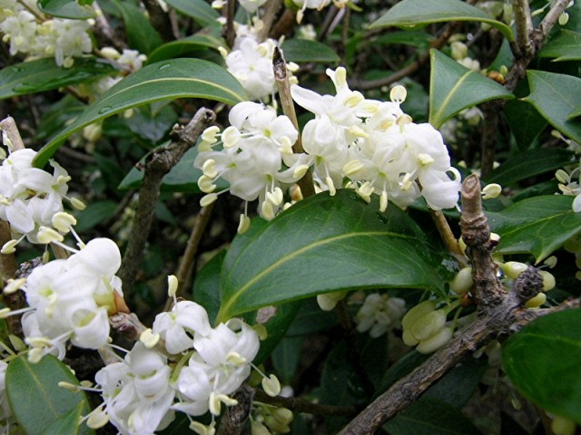 a0079880_20203219.jpg