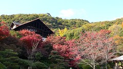 b0042882_19382494.jpg