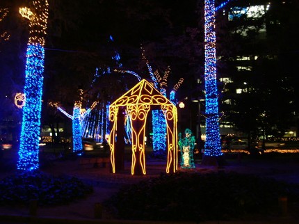 e0010293_11532776.jpg