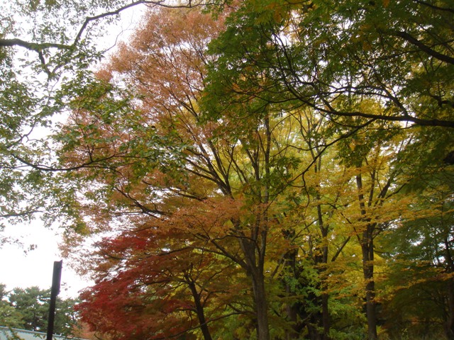 e0111793_21218100.jpg