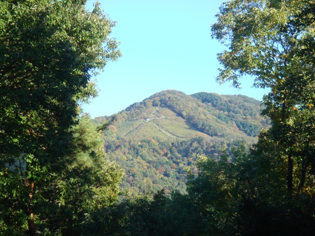 e0111793_22232167.jpg