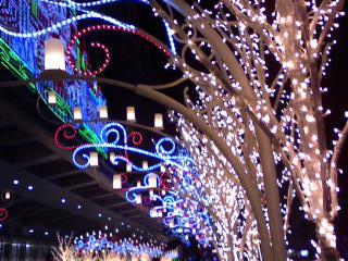 a0031000_1842350.jpg