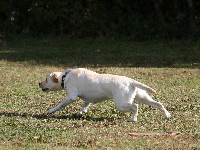 d0091700_103251.jpg