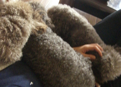 e0013900_12291329.jpg