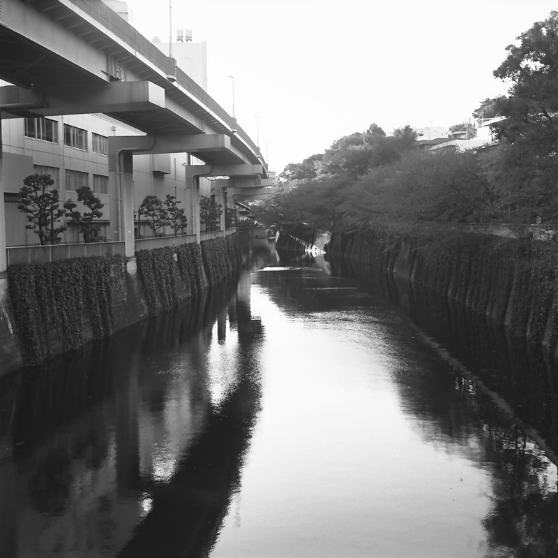 f0109201_1733978.jpg