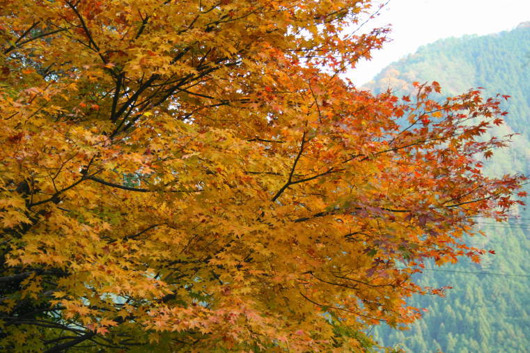 f0031304_2226416.jpg