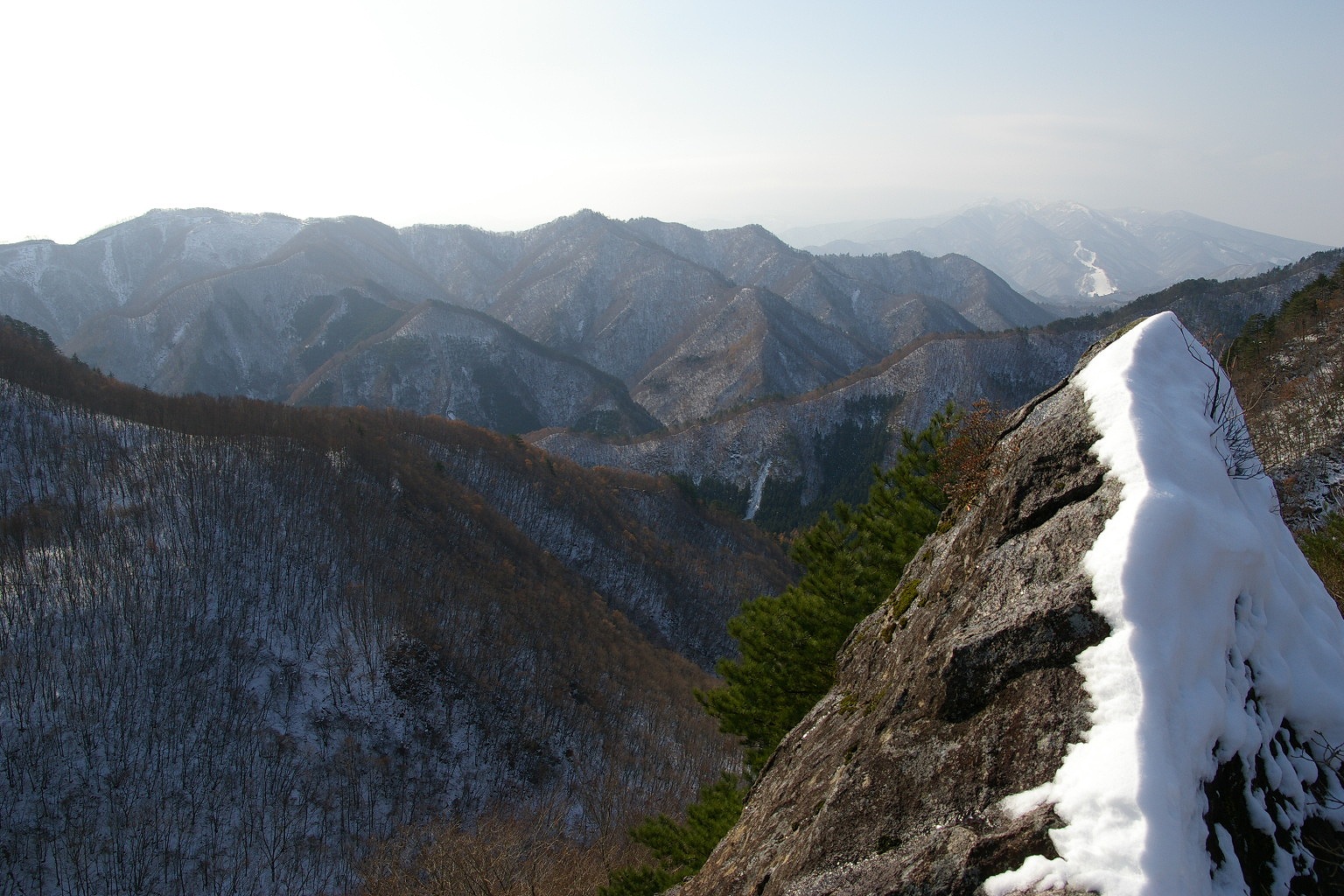 b0050305_1616526.jpg