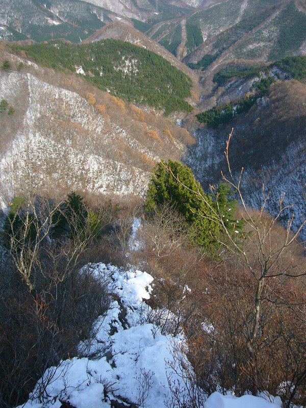 b0050305_17403360.jpg