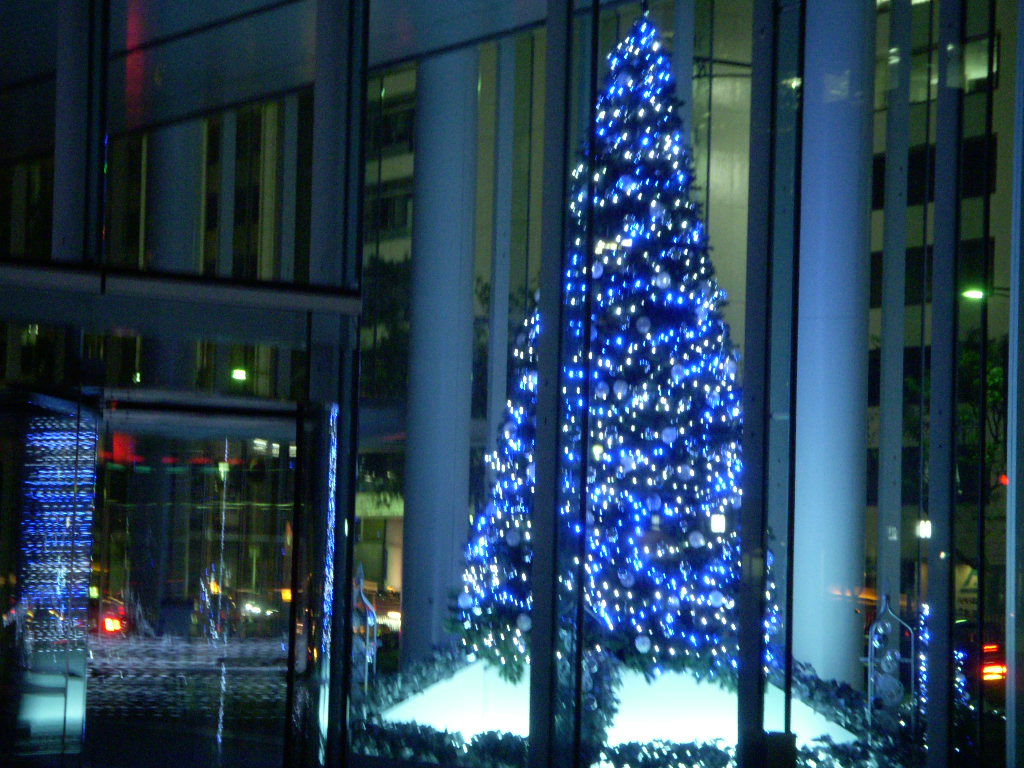b0089407_157178.jpg