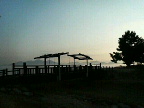 f0127408_2113075.jpg