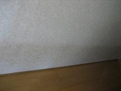 a0064213_1321731.jpg