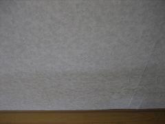 a0064213_1322938.jpg