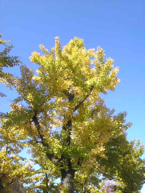 c0140516_8353744.jpg