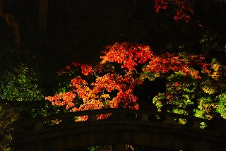 c0088418_20263087.jpg
