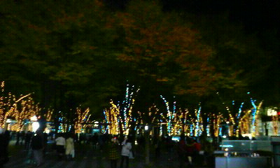 c0054121_2311557.jpg