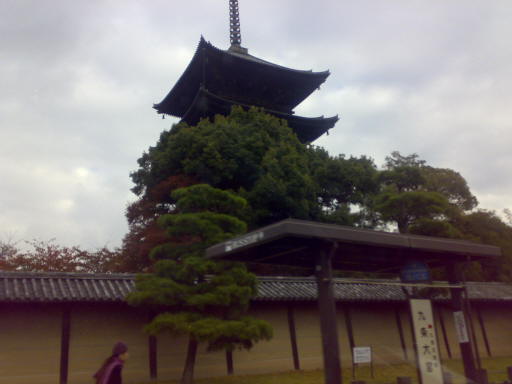 c0007822_23076.jpg