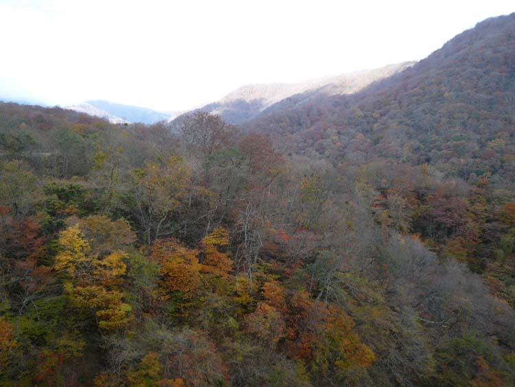 c0112823_1410549.jpg