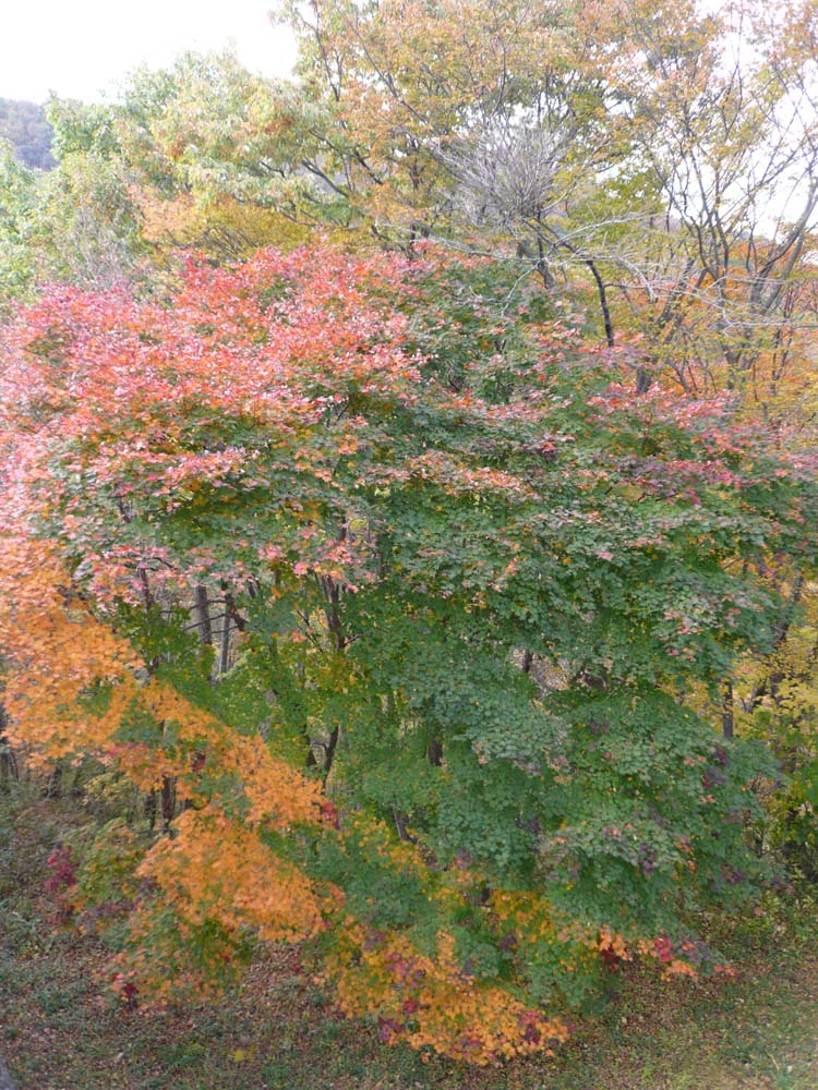 c0112823_14114088.jpg