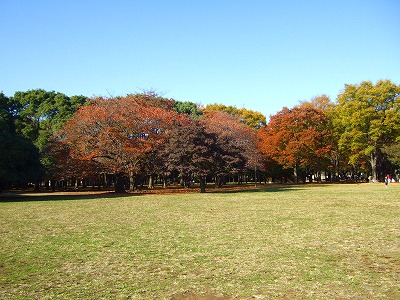 d0023323_1875887.jpg