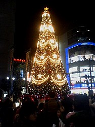e0071923_1422423.jpg