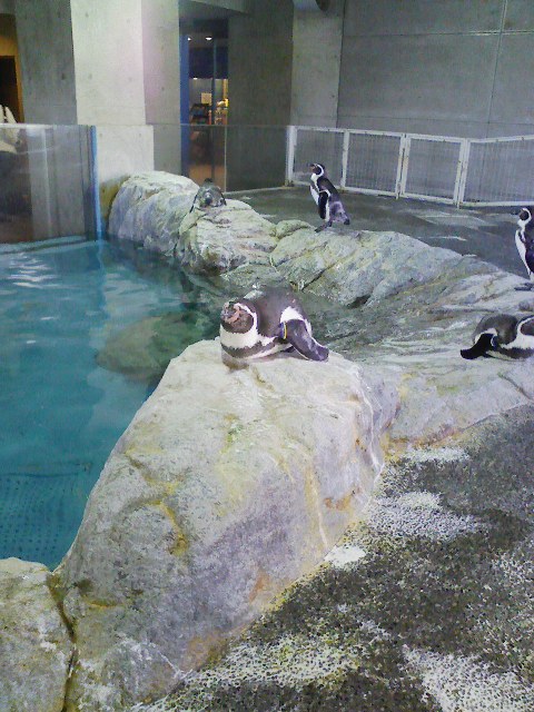 d0000625_2247402.jpg