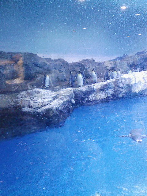 d0000625_22523218.jpg