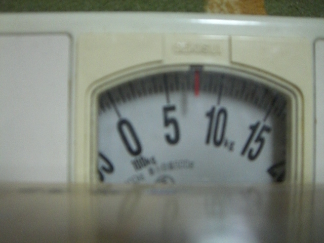 a0090729_657301.jpg