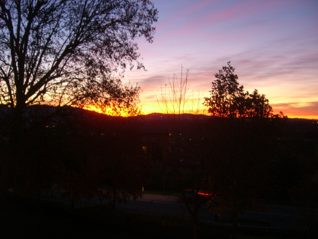 f0130430_2393972.jpg