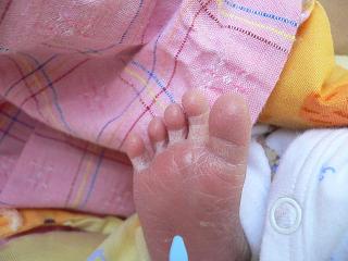 c0150632_2153880.jpg