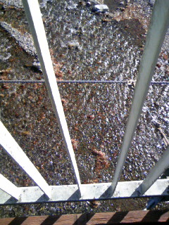 c0025033_20121891.jpg