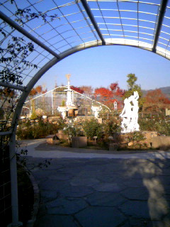 c0025033_20205273.jpg