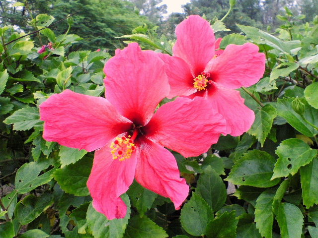 e0064133_0264590.jpg