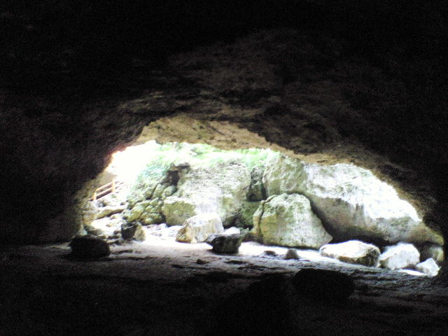 e0064133_03174.jpg