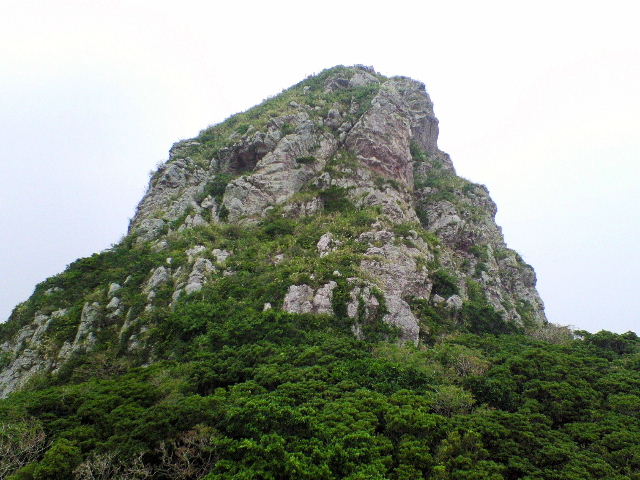 e0064133_034668.jpg
