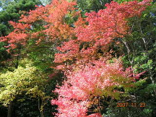 a0030639_21305327.jpg