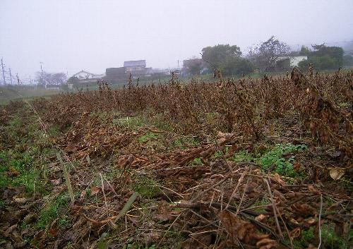 c0072843_1857472.jpg