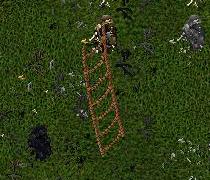 f0101845_3555234.jpg